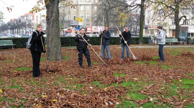 Laubsammeln 2008