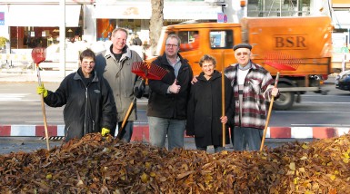 Laubsammeln 2009