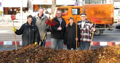 Laubsammeln 2009