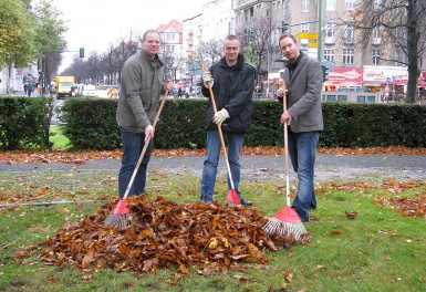 Laubsammeln 2012