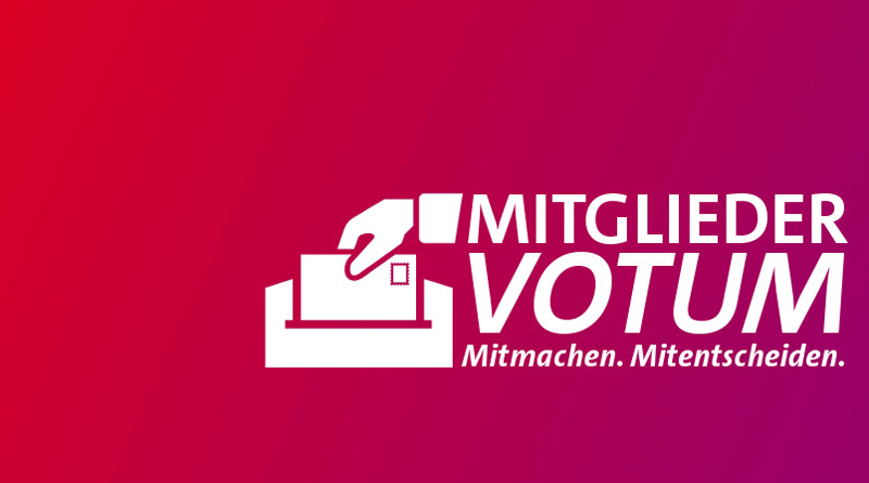 Mitgliedervotum 2013